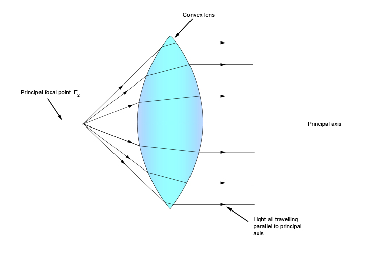 Light rays from principal focal point emerge parallel from the convex lens